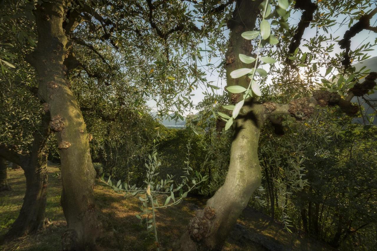 Villa D'Epoca Le Capele Gratacasolo Buitenkant foto